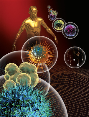 3d rendered depiction of Stem Cells and a human figure.